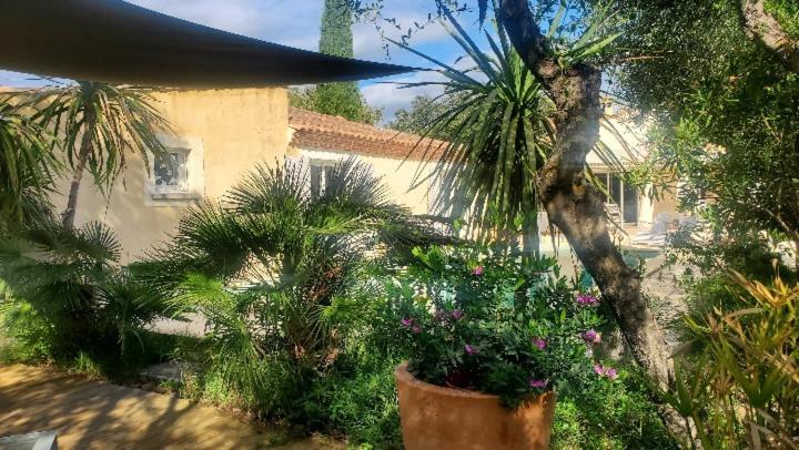 Le Clos Olives Comps  Extérieur photo