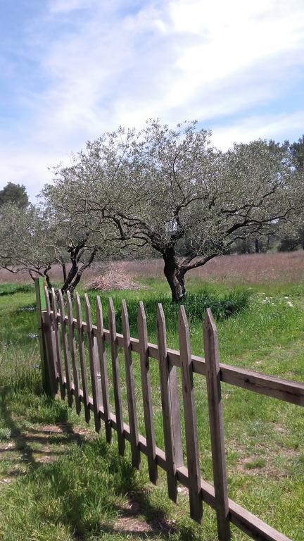Le Clos Olives Comps  Extérieur photo